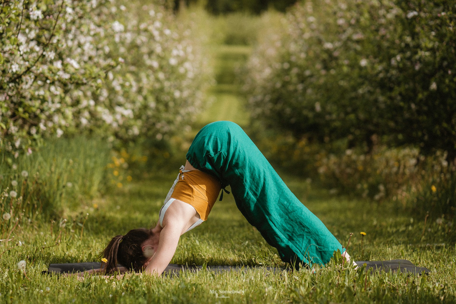 Transformative Wellness: Integrative Health Combining Yoga and Herbal Remedies