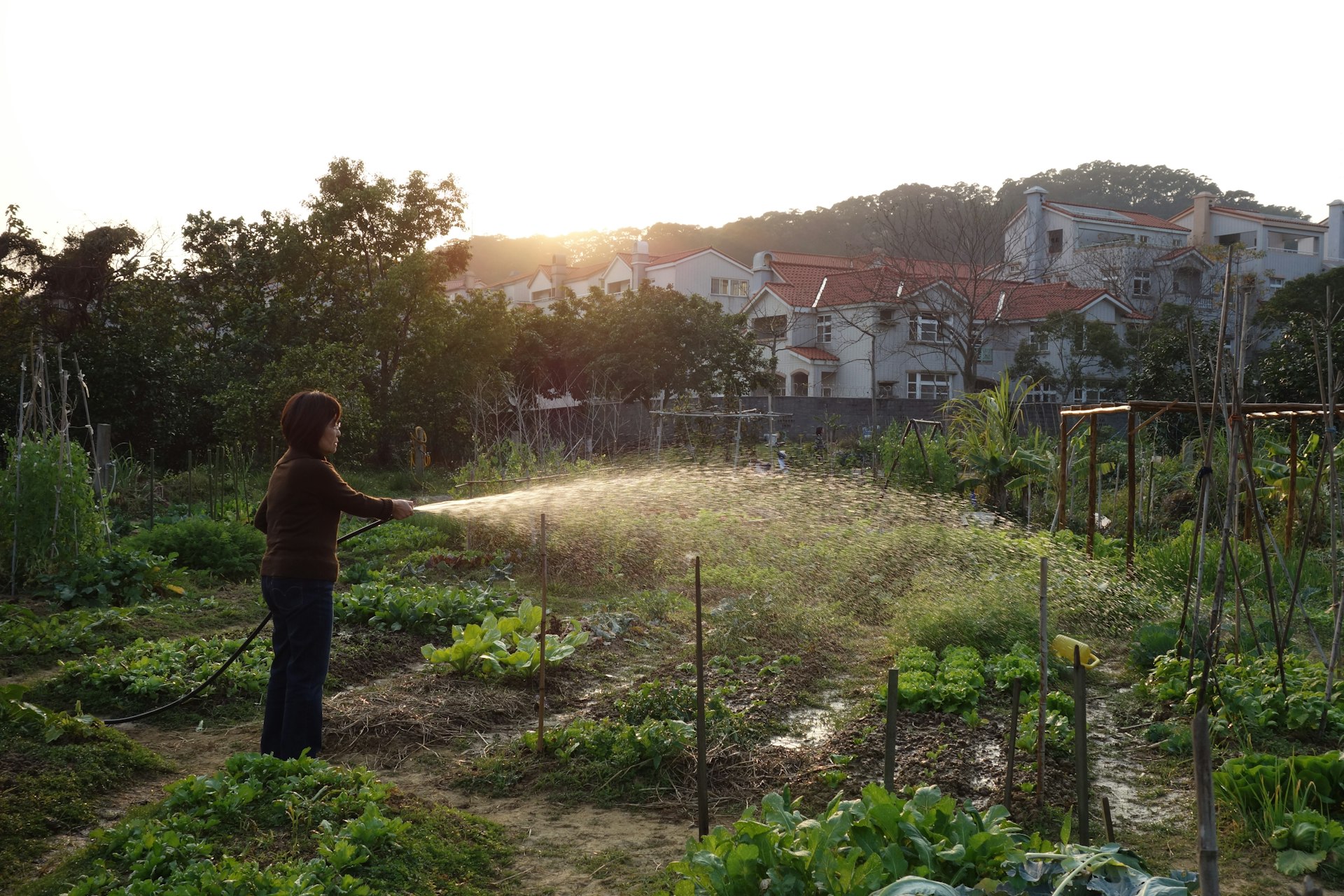 Unlocking the Lifestyle Benefits of Community Gardening: Health, Connection, and Growth