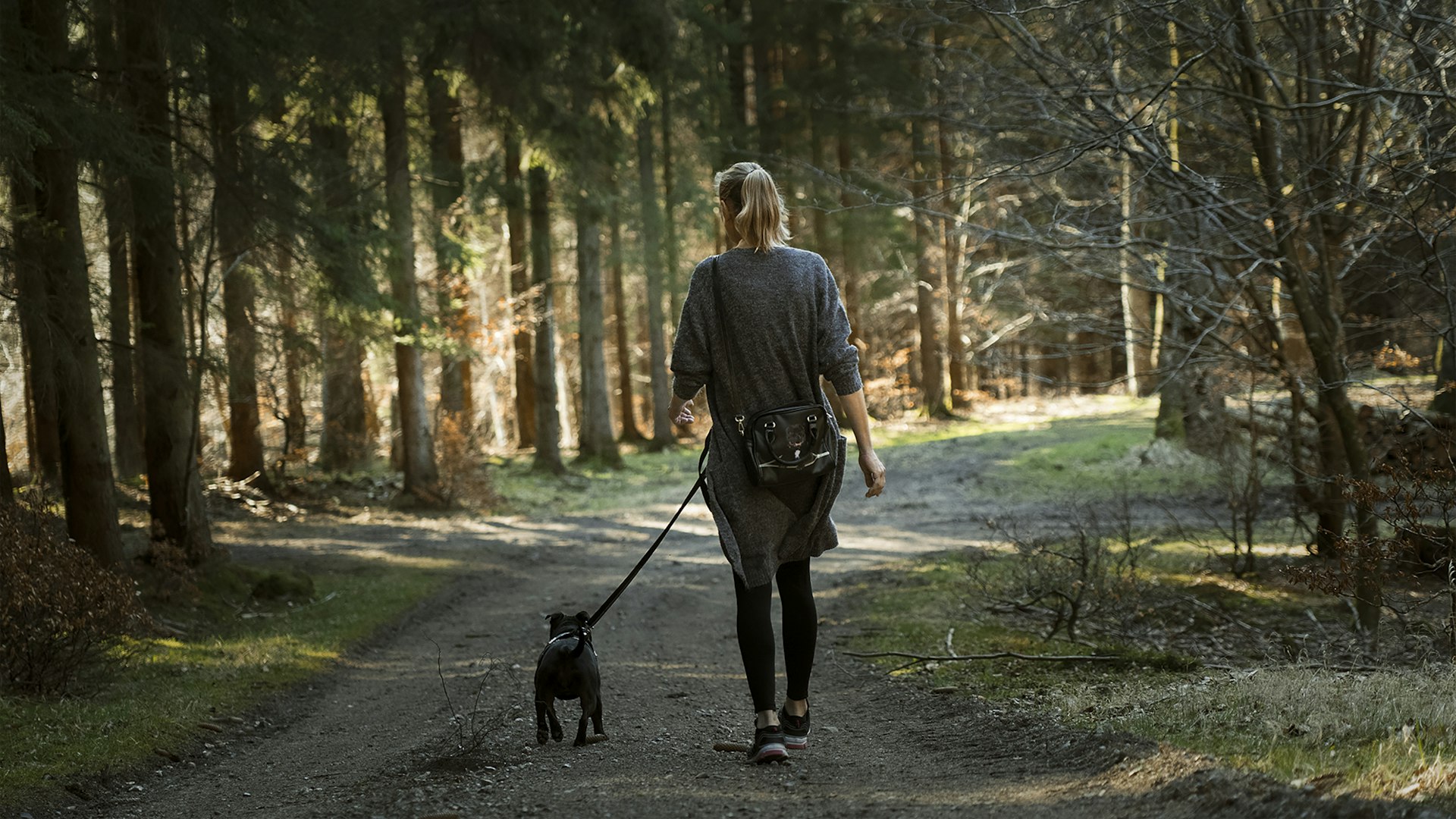 Transform Your Wellbeing: The Power and Practice of Mindful Walking