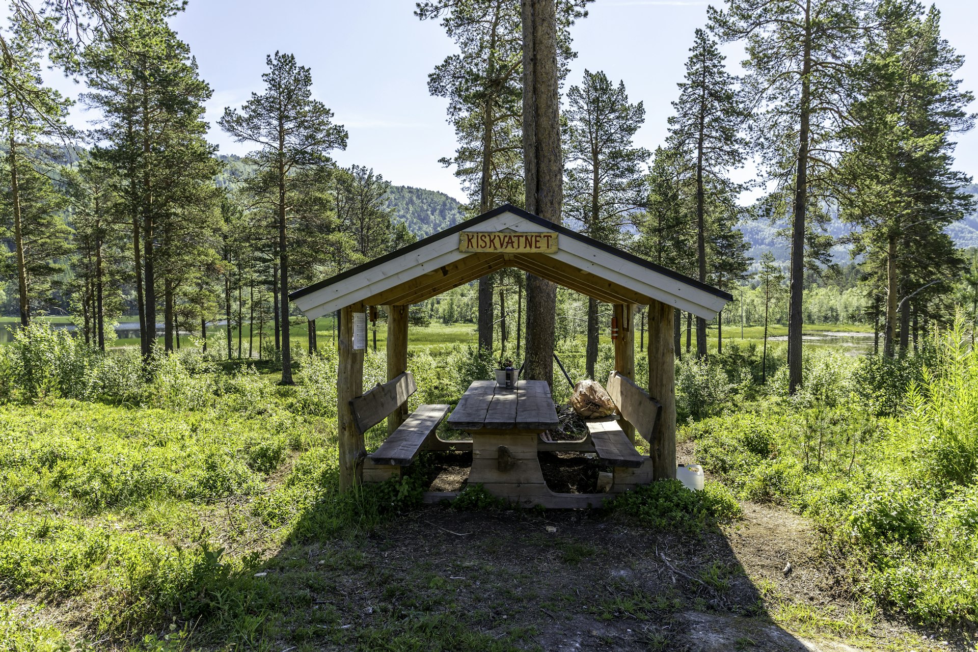 Unlocking Profitable Opportunities in the Tiny Cabin Real Estate Market: Trends, Strategies, and Actionable Guidance for 2025