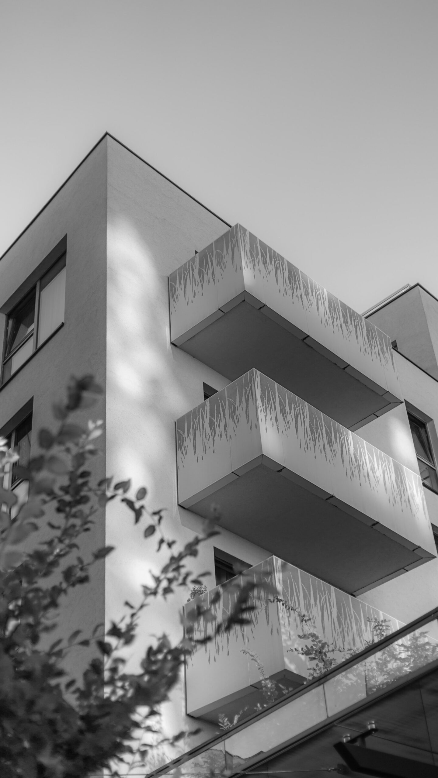 Unlocking Value and Sustainability: A Guide to Green Building Certifications in Real Estate