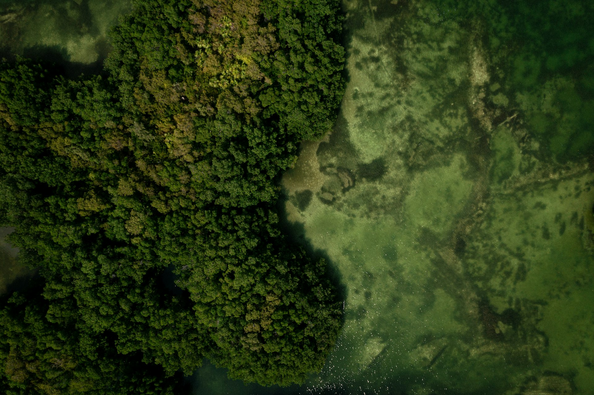 How Environmental Storytelling Shapes Level Design for Lasting Impact