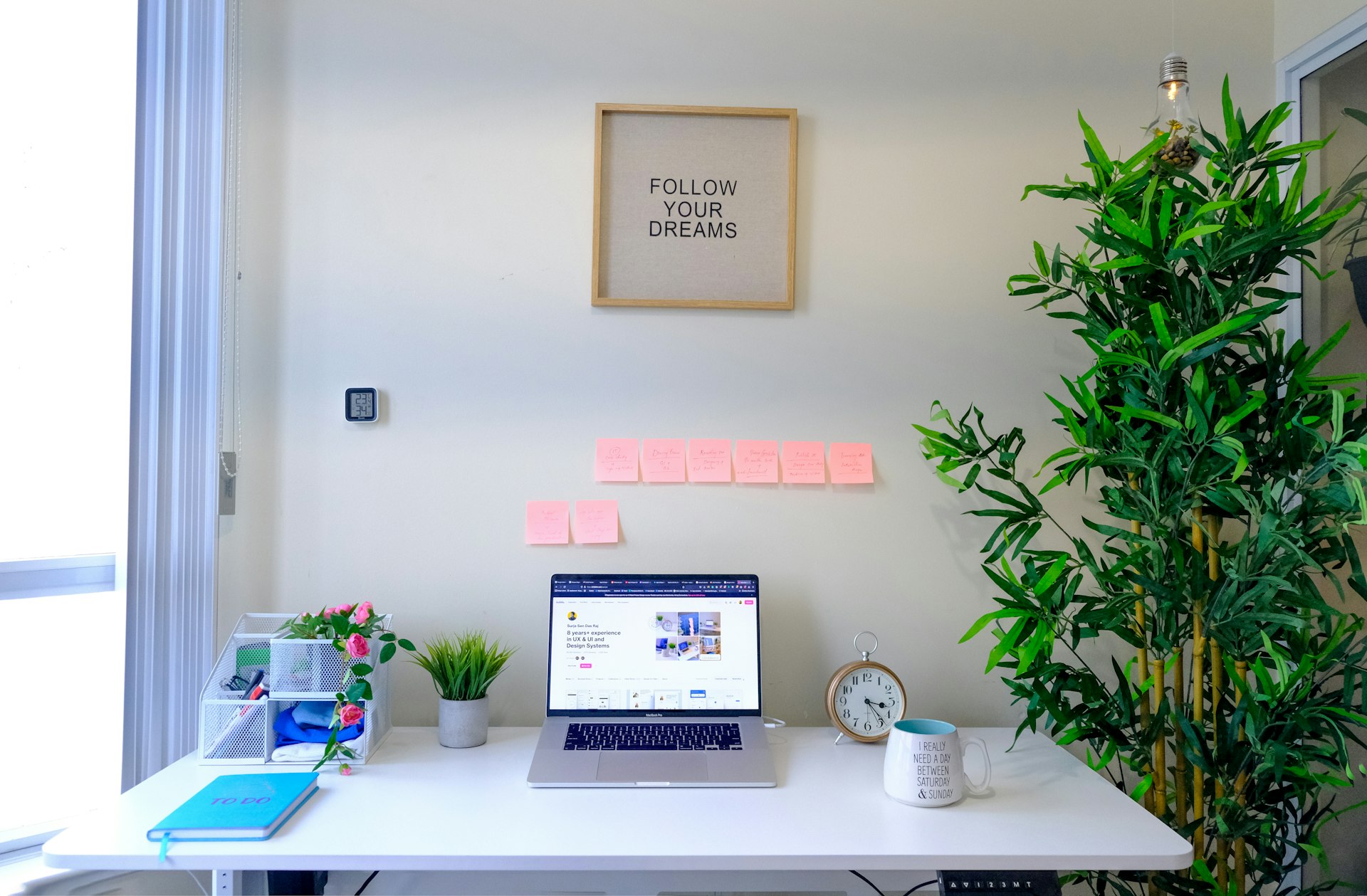 Creating Wellness Rooms: Transform Your Office with Dedicated Employee Well-being Spaces